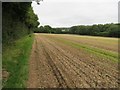 Field south of Kempshott Copse in RG22 4QE