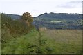 Path, Sapey Common in WR6 6ER