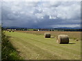 Bales on Blairdrummond Moss in FK9 4AL