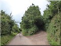 Road and lane at Little Brithayes in EX5 4BY