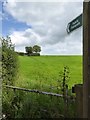 Footpath to Butterleigh in EX15 1PR