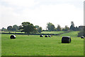 Silage bales on farm near Fifehead Magdalen in SP8 5RR