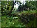 Dry-stone wall in Ardencaple Wood in G84 9QG