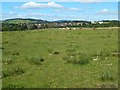 Field beside Auchincarroch Road in G83 9EY