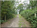 Path out of the woodland in Havering Country Park in RM4 1PE