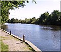 The River Yare by Church Fen moorings in NR13 5RE