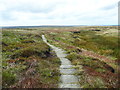 The Pennine Way descending from Black Hill in HD9 2QH