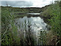 Slash Pond, Broad Haven in SA62 3JJ