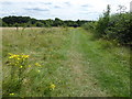 Hainault Forest Country Park in IG7 4DU