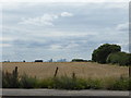 Farmland with a view in IG7 4FE