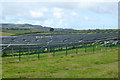 Solar Farm in PO37 7PT