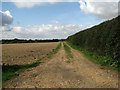 A farm track leading west in NR24 2PH
