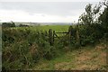 Gate on southern flanks of Chilcombe Hill in DT6 4PL