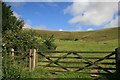 Gate at the end of White Hill track, Long Bredy in DT2 9HN