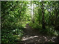 Footpath, former Pinxton Arm, Cromford Canal in DE55 4PB