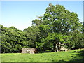 Old railway goods van and ruined building on a haugh by the Rowley Burn in NE47 0HH