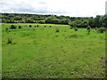 Farmland on the west bank of the River Erewash in NG16 5NP