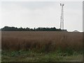 Bradford Peverell: field and radio mast in DT2 9DT