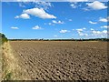 Ploughed field west of Emerick Farm in TD15 2JY