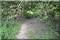West Dorset : Path in DT2 0DN