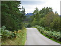 The Banchory - Fettercairn road approaching the Bridge of Bogendreip in AB31 6LP