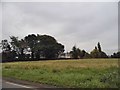 Field by Hastingwood Road, Magdalen Laver in CM17 9GD