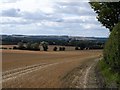 Harvested fields near Shillington in SG17 5NL