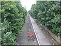 Railway line at Glover's Brow, Kirkby in L32 0RZ