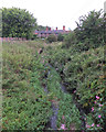 Kirkby Brook at Little Brook Lane in L32 9SR