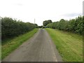Country road south of Quarry House in NE61 3QW
