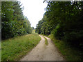 Pathway through Roseland Wood in NG20 8EJ