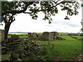 Ruined farmhouse (3) in NE46 2LD