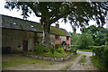 Toller Porcorum : Popes Cottage in DT2 0DQ