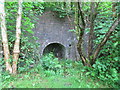 Lime Kiln near Maesgwyn Lock in SA11 5PY
