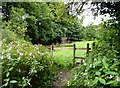 Stile on a grassy path in PR7 4DN