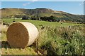 Hay bale in KY13 9HQ