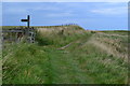 Footpath junction on the east coast of Holy Island in TD15 2SF