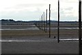 Line of posts on Holy Island Sands in Holy Island