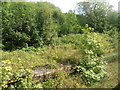Abandoned railway station platform, Penrhiwceiber in CF45 4ER
