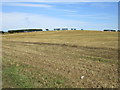 Stubble field near Rimswell in HU19 2BY