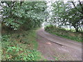Country Lane towards Coldmartin Loughs in NE71 6QN