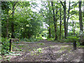 Woodland track off Stoken Lane in RG27 8JW