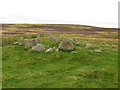 Cairn Circle, Moor Divock in Askham