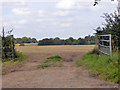 Harvested field, Arborfield in RG2 9JE