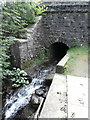 The Nant Twynyrharris flowing under the railway bridge, Twyn Rd in CF82 7ES