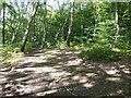 Bridleway at Seal Chart in TN15 0LL