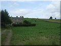 Grazing, Bridge End Farm in DL13 1LP