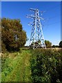 Pylon, Rimrose Valley Country Park in L23 9SE