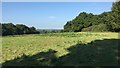 View from the footpath from Tanners Farm in RH14 9JE