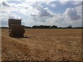 Bales and Stubble Field near Whitley in Whitley (North Yorkshire)